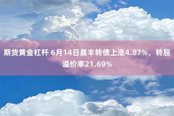 期货黄金杠杆 6月14日晨丰转债上涨4.87%，转股溢价率21.69%