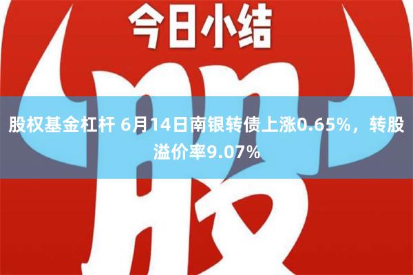 股权基金杠杆 6月14日南银转债上涨0.65%，转股溢价率9.07%