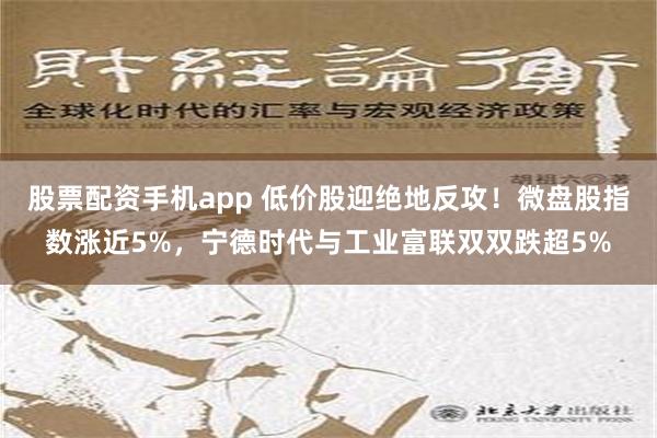 股票配资手机app 低价股迎绝地反攻！微盘股指数涨近5%，宁德时代与工业富联双双跌超5%