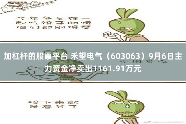 加杠杆的股票平台 禾望电气（603063）9月6日主力资金净卖出1161.91万元