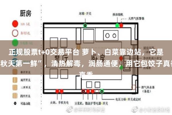 正规股票t+0交易平台 萝卜、白菜靠边站，它是“秋天第一鲜”，清热解毒，润肠通便，用它包饺子真香